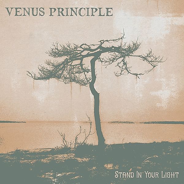 Stand In Your Light (Hardcover Book), Venus Principle