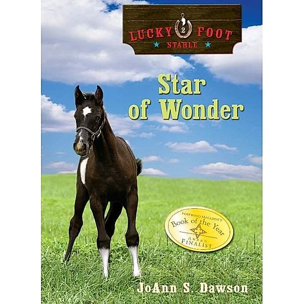 Star of Wonder / Sourcebooks Jabberwocky, JoAnn Dawson