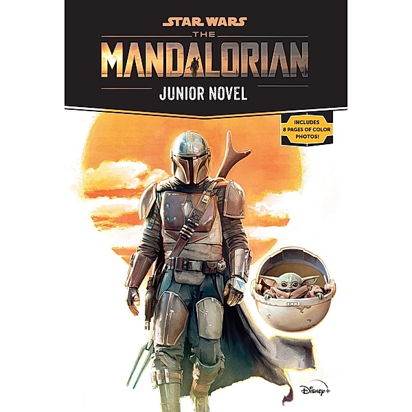 Star Wars: The Mandalorian Junior Novel, Joe Schreiber