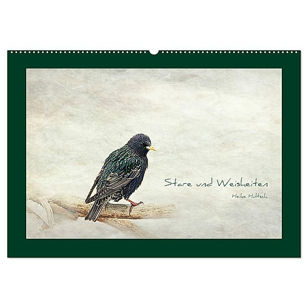 Stare und Weisheiten (Wandkalender 2024 DIN A2 quer), CALVENDO Monatskalender, Heike Hultsch