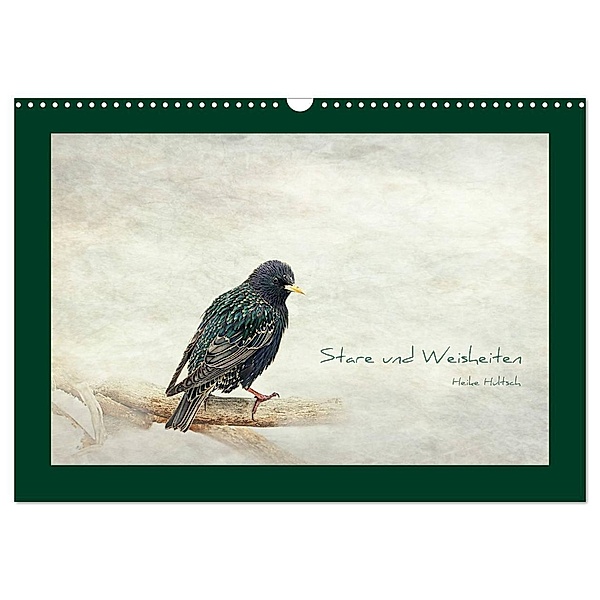 Stare und Weisheiten (Wandkalender 2024 DIN A3 quer), CALVENDO Monatskalender, Heike Hultsch