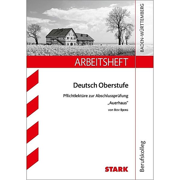 STARK Arbeitsheft Deutsch - Auerhaus, Annette Kliewer