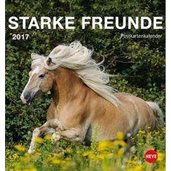 Starke Freunde (Pferde) Postkartenkalender 2017