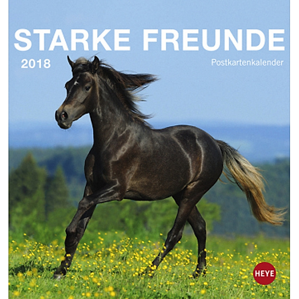Starke Freunde (Pferde) Postkartenkalender 2018.