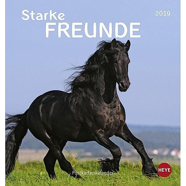 Starke Freunde (Pferde) Postkartenkalender 2019