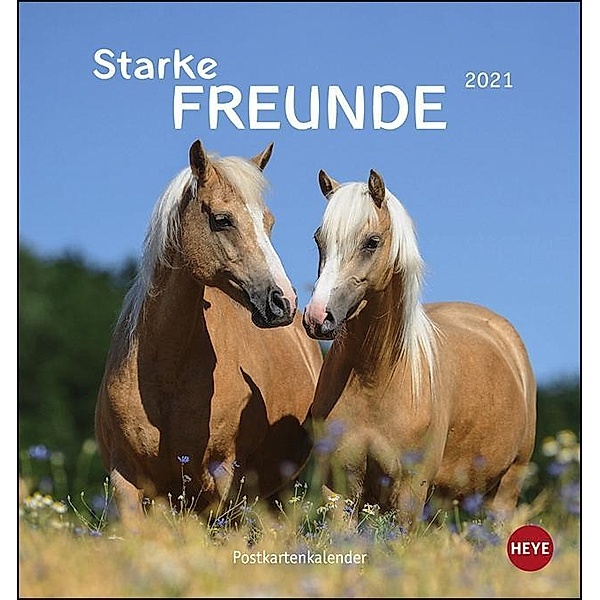 Starke Freunde (Pferde) Postkartenkalender 2021, Sabine Stuewer