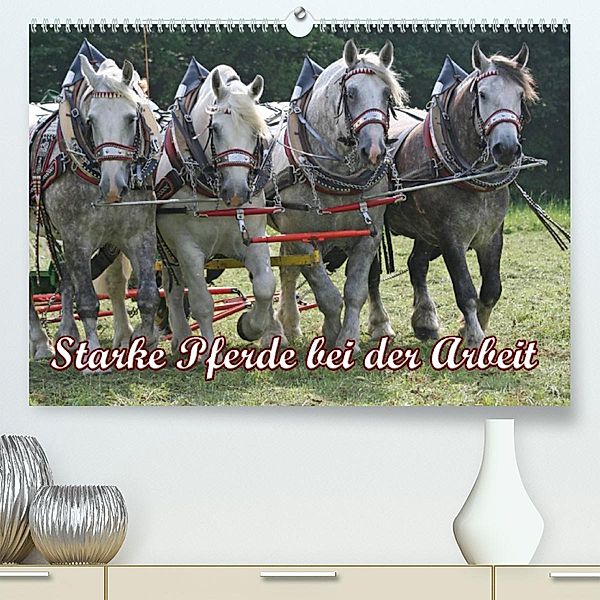Starke Pferde bei der Arbeit (Premium, hochwertiger DIN A2 Wandkalender 2023, Kunstdruck in Hochglanz), Antje Lindert-Rottke