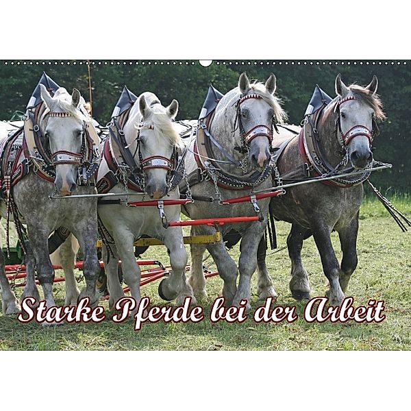Starke Pferde bei der Arbeit (Wandkalender 2018 DIN A2 quer), Antje Lindert-Rottke