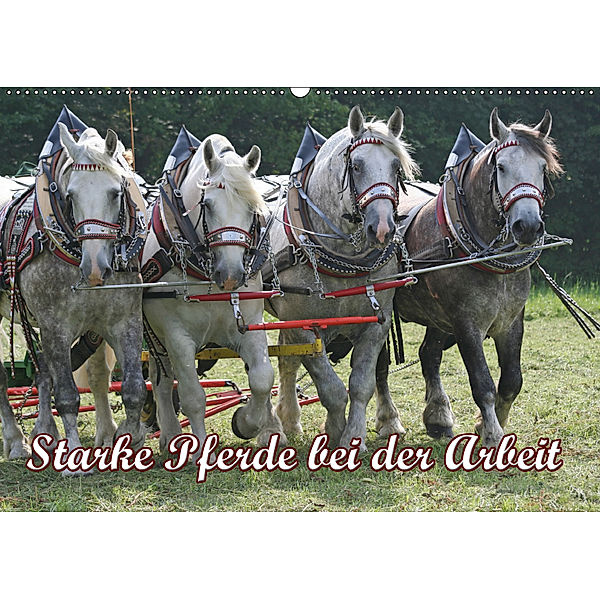 Starke Pferde bei der Arbeit (Wandkalender 2019 DIN A2 quer), Antje Lindert-Rottke