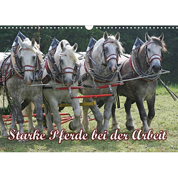 Starke Pferde bei der Arbeit (Wandkalender 2022 DIN A3 quer), Antje Lindert-Rottke