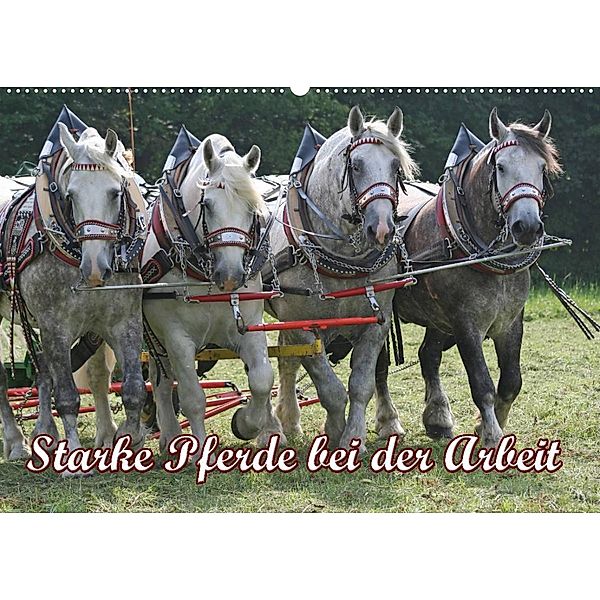 Starke Pferde bei der Arbeit (Wandkalender 2023 DIN A2 quer), Antje Lindert-Rottke