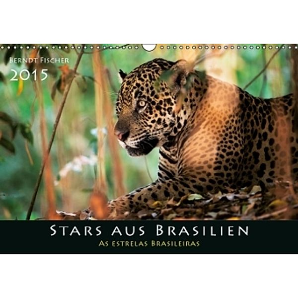 Stars aus Brasilien (Wandkalender 2015 DIN A3 quer), Berndt Fischer