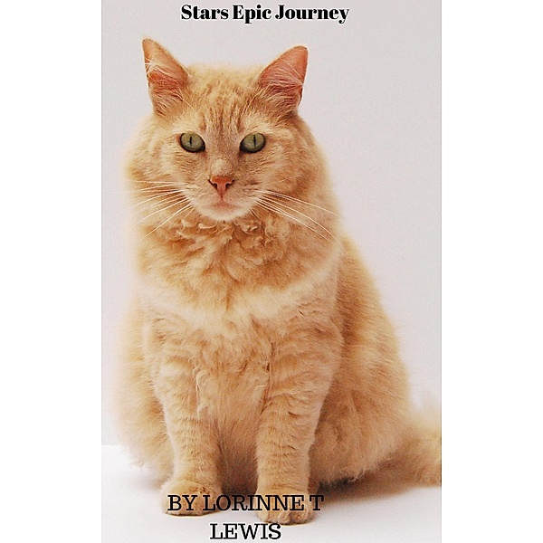 Stars Epic Journey, Lorinne T Lewis