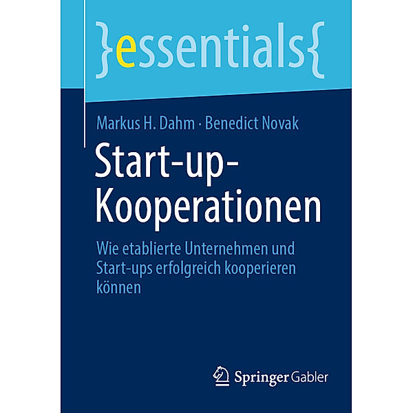 Start-up-Kooperationen, Markus H. Dahm, Benedict Novak