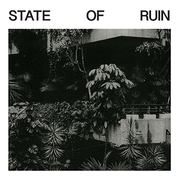 State Of Ruin, Silk Road Assassins