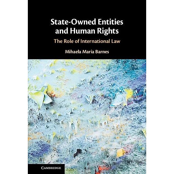 State-Owned Entities and Human Rights, Mihaela Maria Barnes