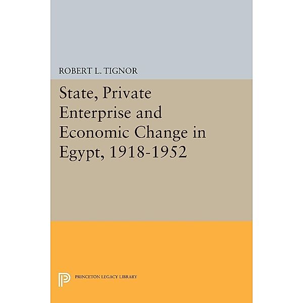 State, Private Enterprise and Economic Change in Egypt, 1918-1952 / Princeton Studies on the Near East, Robert L. Tignor