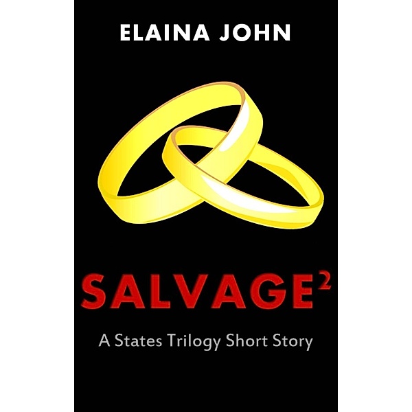 States Trilogy Short Story: Salvage 2, Elaina John