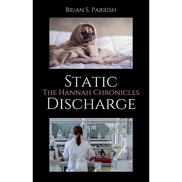Static Discharge: The Hannah Chronicles, Brian S. Parrish