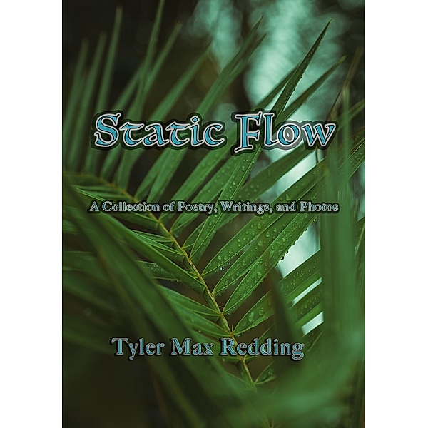 Static Flow, Tyler Max Redding