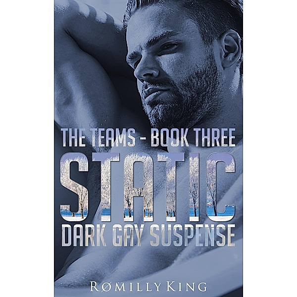 Static (The Team, #3) / The Team, Romilly King
