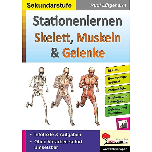 Stationenlernen Skelette, Muskeln & Gelenke / Stationenlernen, Rudi Lütgeharm