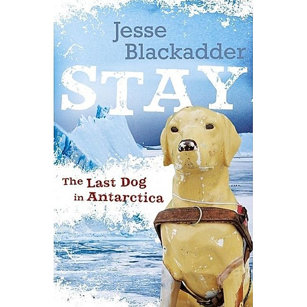 Stay, Jesse Blackadder