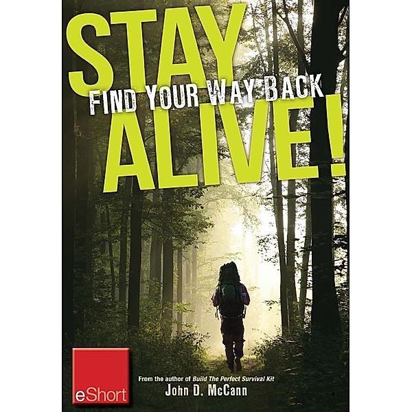 Stay Alive - Find Your Way Back eShort, John McCann