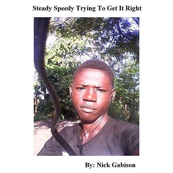 Steady Speedy Trying To Get It Right, Nick Gabison