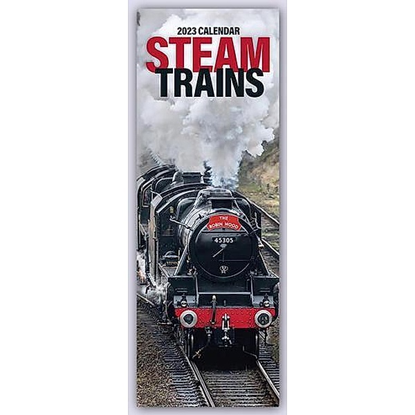 Steak Trains - Dampflokomotiven 2023, Avonside Publishing Ltd