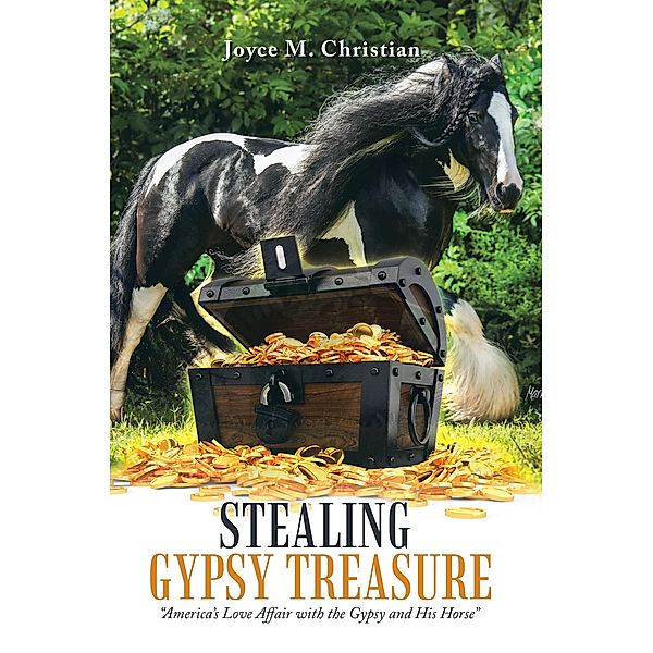 Stealing Gypsy Treasure, Joyce M. Christian