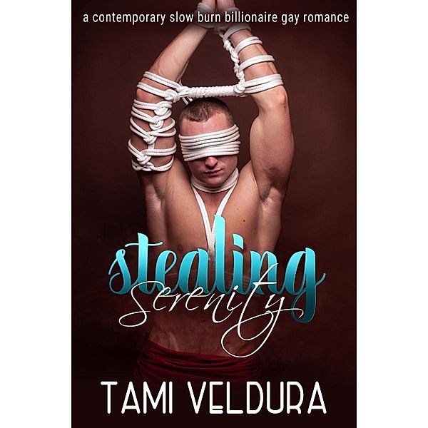 Stealing Serenity: A Contemporary Slow Burn Billionaire Gay Romance, Tami Veldura
