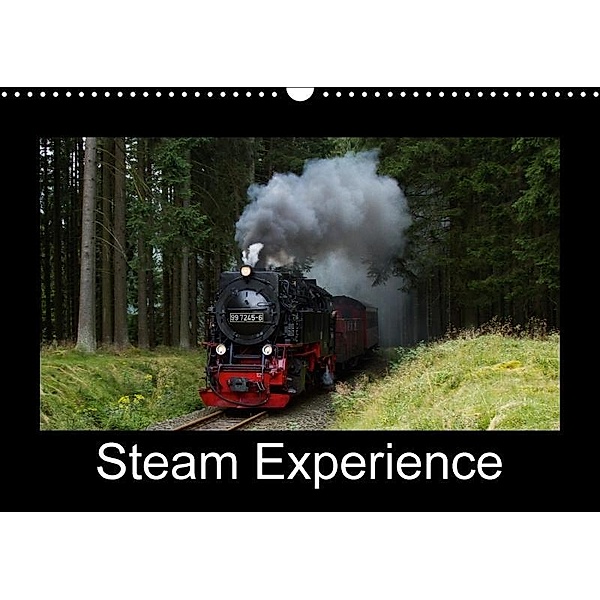Steam Experience (Wall Calendar 2017 DIN A3 Landscape), Marion Maurer