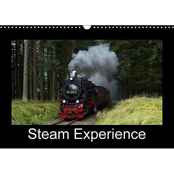 Steam Experience (Wall Calendar 2018 DIN A3 Landscape), Marion Maurer