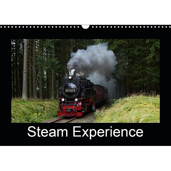 Steam Experience (Wall Calendar 2021 DIN A3 Landscape), Marion Maurer