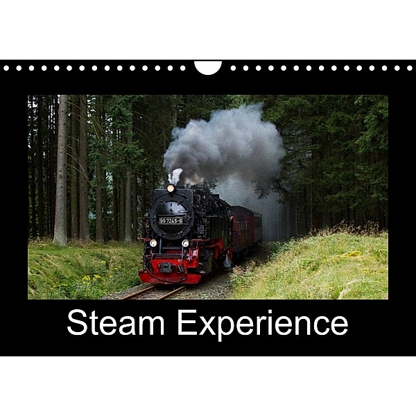 Steam Experience (Wall Calendar 2023 DIN A4 Landscape), Marion Maurer