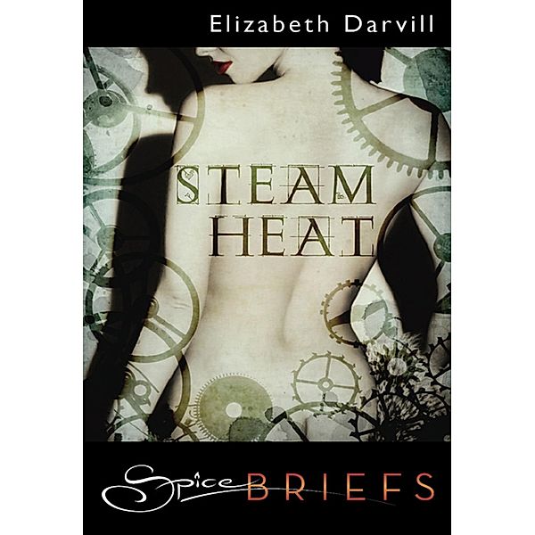 Steam Heat (Mills & Boon Spice Briefs), Elizabeth Darvill