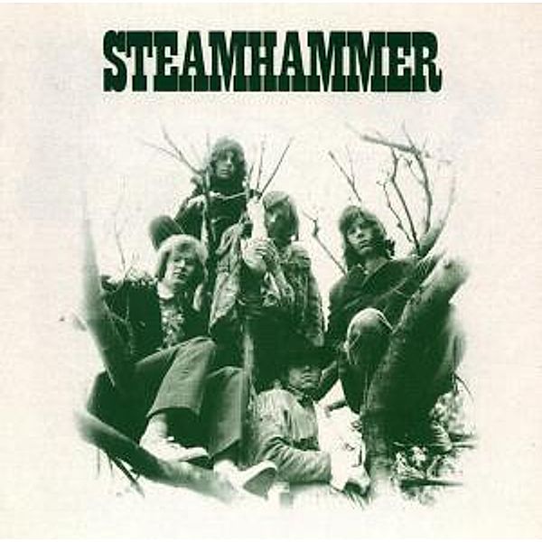 Steamhammer, Steamhammer