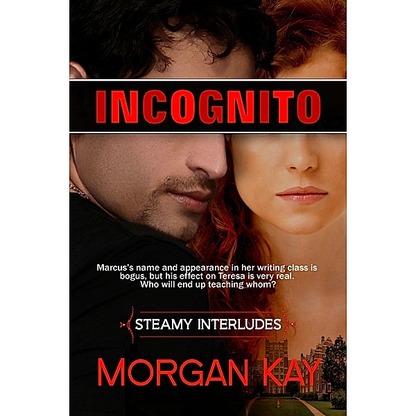 Steamy Interludes: Incognito: Dating the Enemy, Morgan Kay