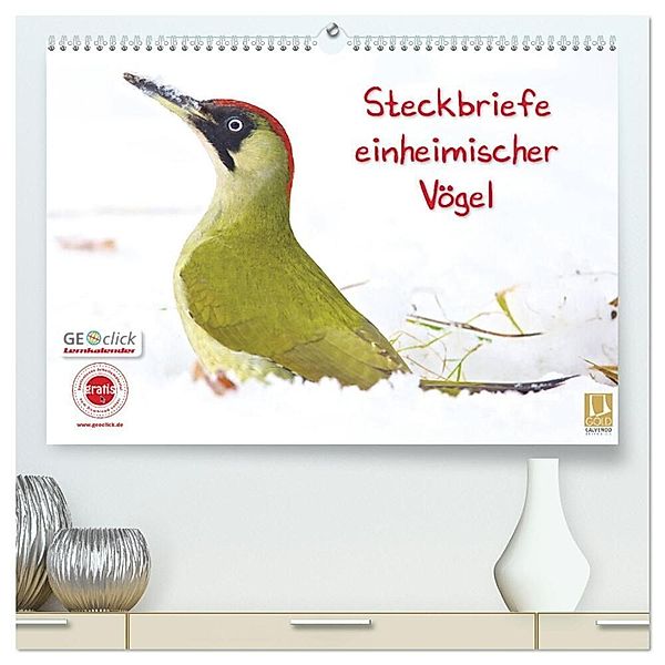 Steckbriefe einheimischer Vögel (hochwertiger Premium Wandkalender 2024 DIN A2 quer), Kunstdruck in Hochglanz, Klaus Feske