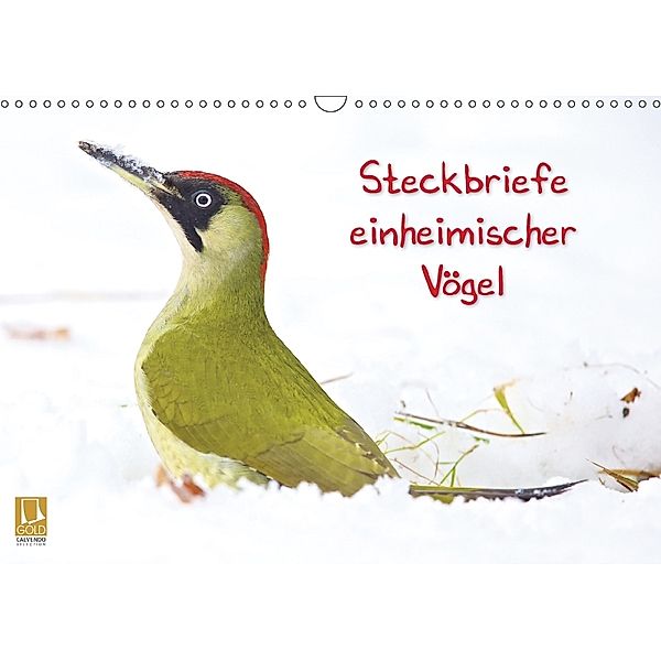 Steckbriefe einheimischer Vögel (Wandkalender 2018 DIN A3 quer), Klaus Feske