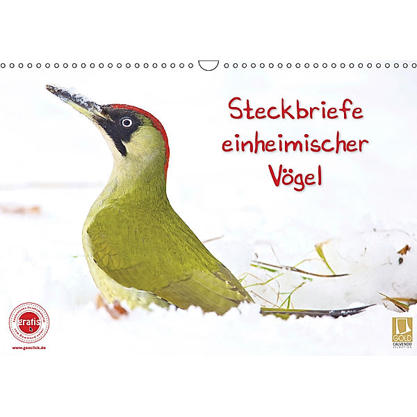 Steckbriefe einheimischer Vögel (Wandkalender 2019 DIN A3 quer), Klaus Feske