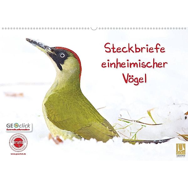 Steckbriefe einheimischer Vögel (Wandkalender 2023 DIN A2 quer), Klaus Feske