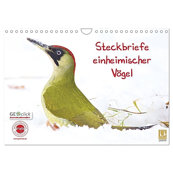 Steckbriefe einheimischer Vögel (Wandkalender 2024 DIN A4 quer), CALVENDO Monatskalender, Klaus Feske