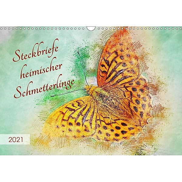 Steckbriefe heimischer Schmetterlinge (Wandkalender 2021 DIN A3 quer), Anja Frost