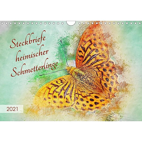 Steckbriefe heimischer Schmetterlinge (Wandkalender 2021 DIN A4 quer), Anja Frost