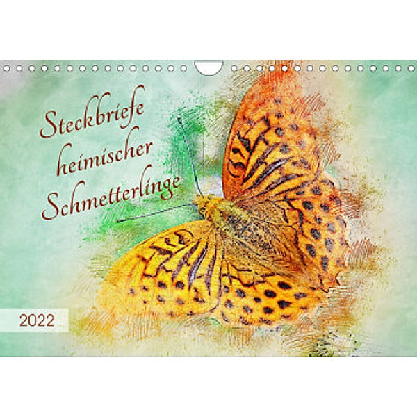 Steckbriefe heimischer Schmetterlinge (Wandkalender 2022 DIN A4 quer), Anja Frost