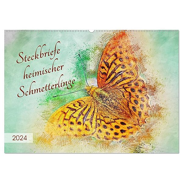 Steckbriefe heimischer Schmetterlinge (Wandkalender 2024 DIN A2 quer), CALVENDO Monatskalender, Anja Frost