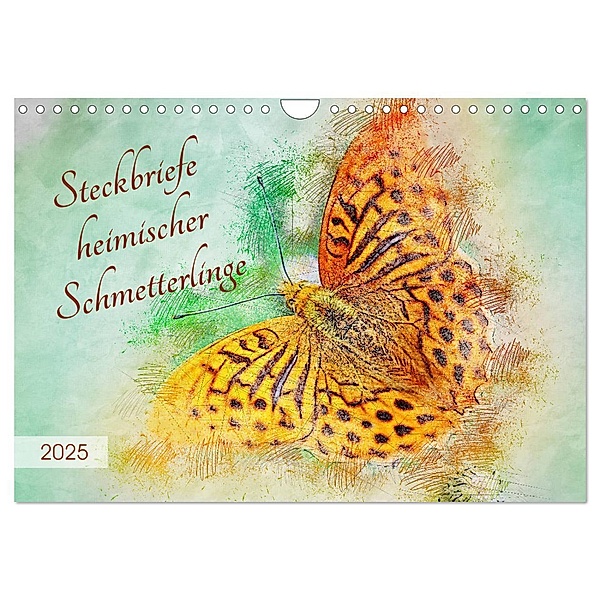Steckbriefe heimischer Schmetterlinge (Wandkalender 2025 DIN A4 quer), CALVENDO Monatskalender, Calvendo, Anja Frost