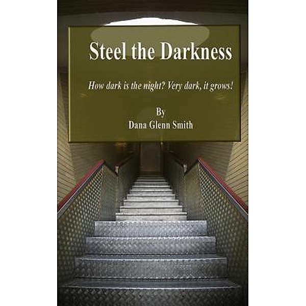 Steel the Darkness / Steel Series Bd.1, Smith G Dana